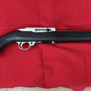 Ruger 10-22 All Weather stainless with boat paddle stock